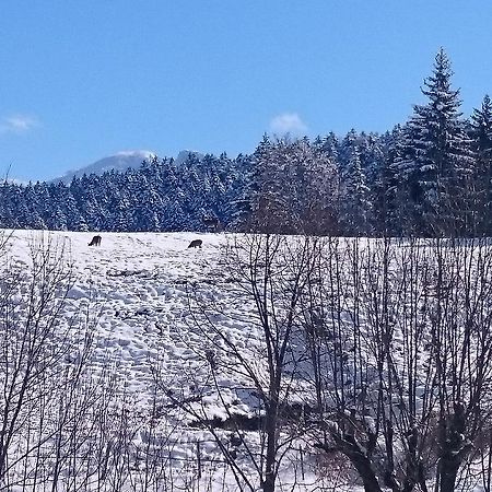 La Ferme Du Bois Barbu Hotell Villard-de-Lans Exteriör bild