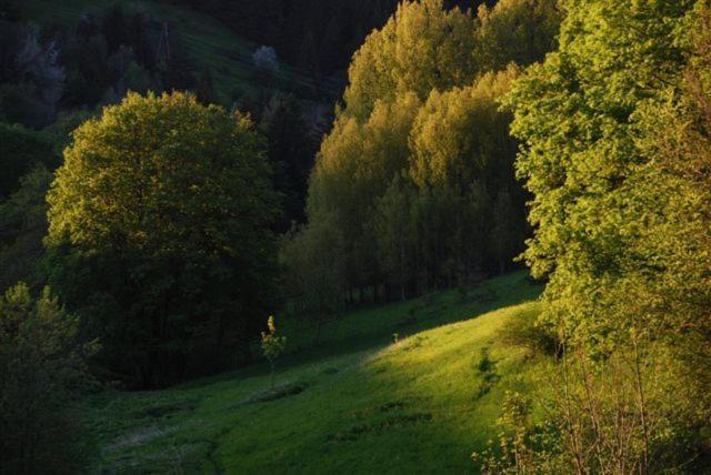 La Ferme Du Bois Barbu Hotell Villard-de-Lans Exteriör bild
