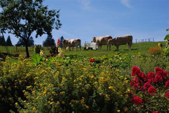 La Ferme Du Bois Barbu Hotell Villard-de-Lans Exteriör bild