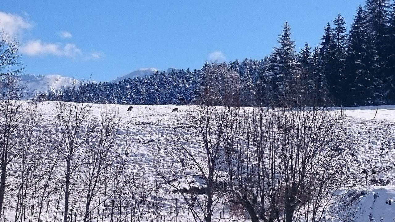 La Ferme Du Bois Barbu Hotell Villard-de-Lans Exteriör bild